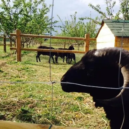 Agriturismo San Michele * San Michele (Ravenna)