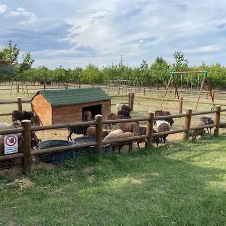 Agriturismo San Michele *