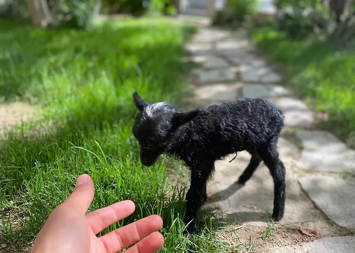 Farmház Agriturismo San Michele San Michele