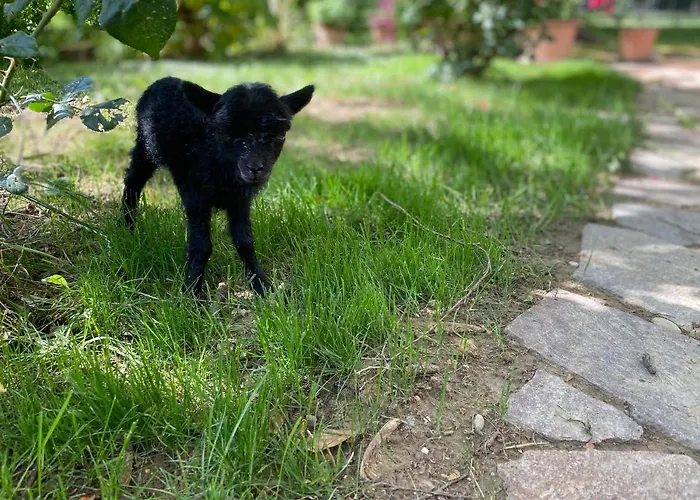 Agriturismo San Michele * San Michele