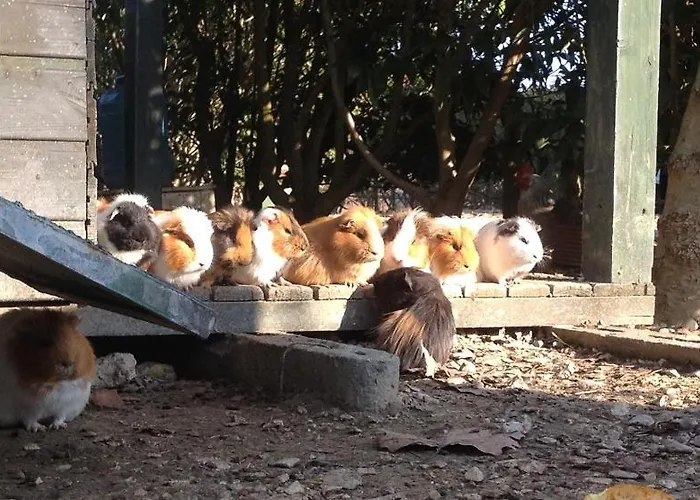 Agriturismo San Michele * San Michele