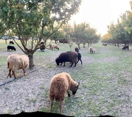 Agriturismo San Michele * San Michele (Ravenna)