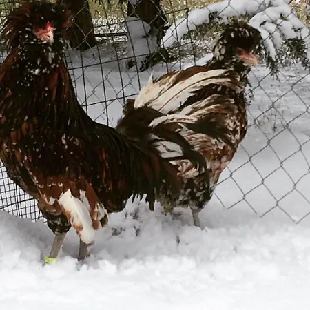 팜스테이 Agriturismo San Michele