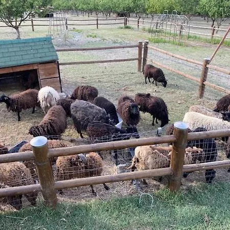 Agriturismo San Michele 팜스테이 San Michele (Ravenna)