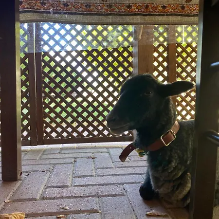 Agriturismo San Michele