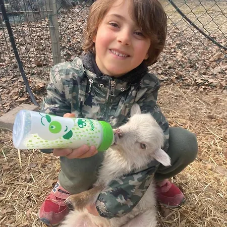 Agriturismo San Michele Vakantieboerderij *