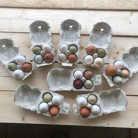 Agriturismo San Michele