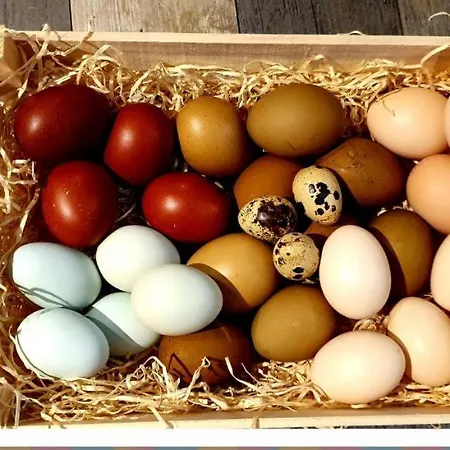 Agriturismo San Michele 팜스테이