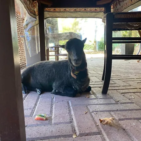 Agriturismo San Michele