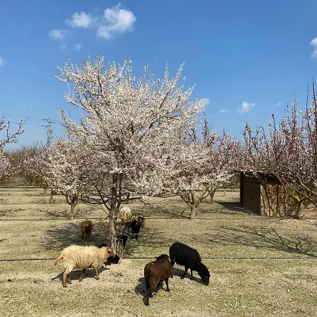 Agriturismo San Michele *