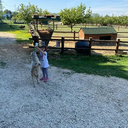 San Michele Farm stay San Michele (Ravenna)