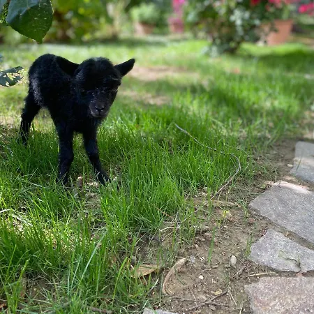 Agriturismo San Michele * San Michele (Ravenna)