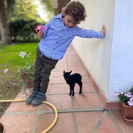 Agriturismo San Michele בית חווה