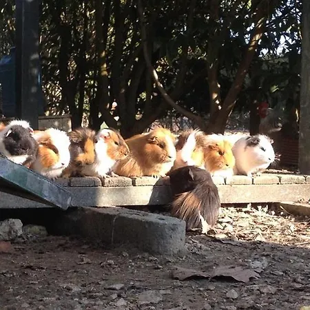 Agriturismo San Michele * San Michele (Ravenna)