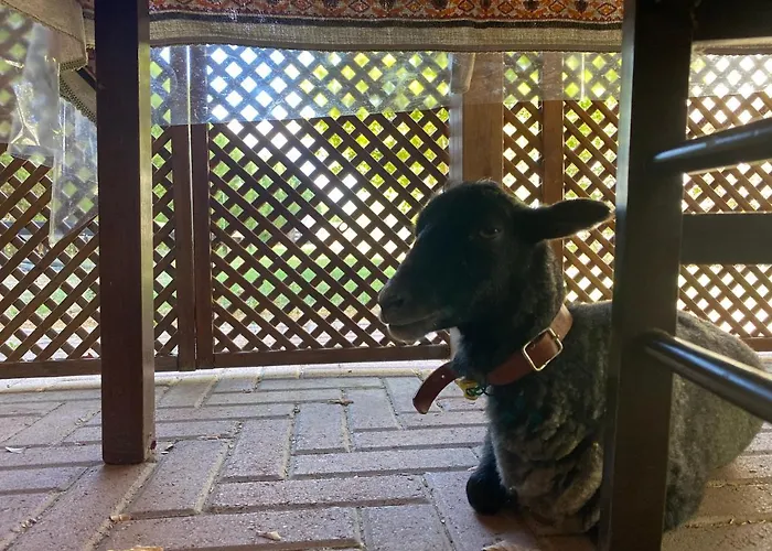 Agriturismo San Michele