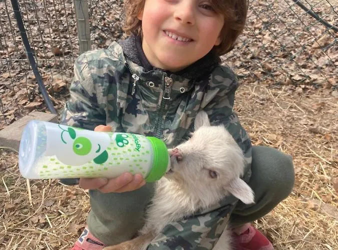 Agriturismo San Michele Lantgård *