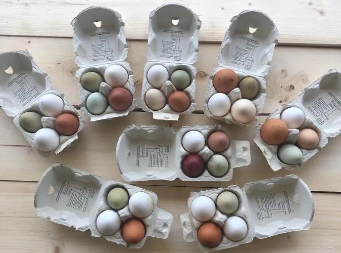 Agriturismo San Michele