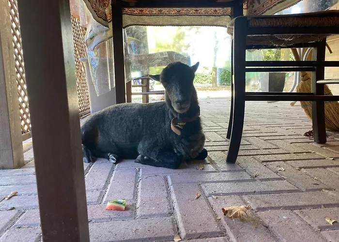 Agriturismo San Michele