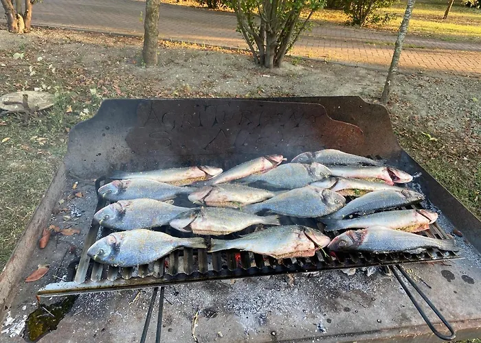 Agriturismo San Michele Lantgård San Michele (Ravenna)