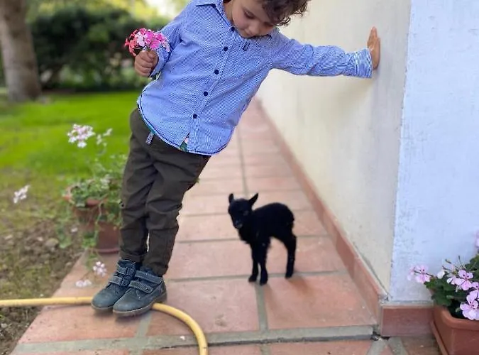 Agriturismo San Michele Lantgård